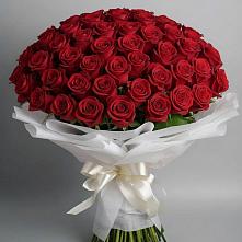 Букет 101 Красная роза Блэк Мэджик в Мичуринске
