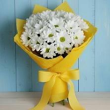 Букет цветов из:  Хризантемы в Мичуринске