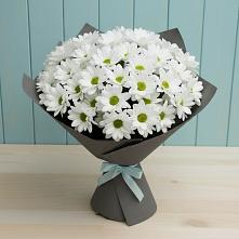 Букет цветов из:  Хризантемы #REPLACE_PRED# Мичуринске