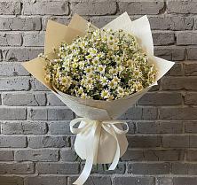 Букет цветов из:  Ромашки в Мичуринске