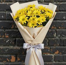 Букет цветов из:  Хризантемы в Мичуринске