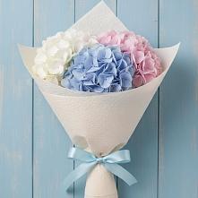 Букет цветов из:  Гортензия в Мичуринске