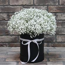 Цветочная композиция из Гипсофила в шляпной коробке #REPLACE_PRED# Мичуринске