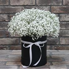Цветочная композиция из Гипсофила в шляпной коробке в Мичуринске