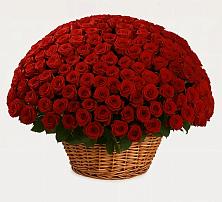 Премиум букет из: Розы #REPLACE_PRED# Мичуринске