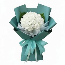 Букет цветов из:  Гортензия в Мичуринске